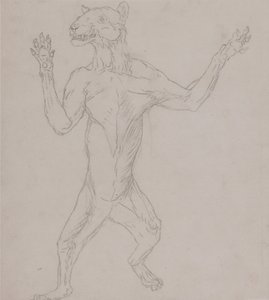 En jämförande anatomisk framställning av människokroppens struktur med tigerns och den vanliga hönsfågelns:  Tigerkropp, stående i mänsklig hållning av George Stubbs