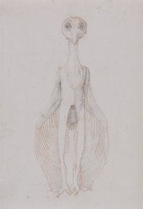 En jämförande anatomisk framställning av människokroppens struktur med tigerns och den vanliga fågelns:  Uggla stående, vy framifrån av George Stubbs