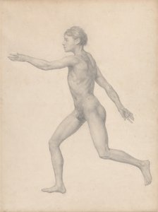 En jämförande anatomisk framställning av människokroppens struktur med den hos en tiger och en vanlig höna: Människofigur, sidovy, ograverad (Färdig studie för tabell VIII) av George Stubbs
