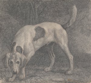 En Foxhound på doften av George Stubbs