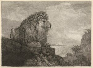 Ett lejon [Ett lejon vilar på en sten] av George Stubbs