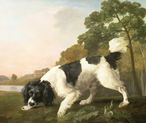 En spaniel i ett landskap, 1771