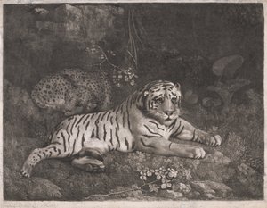 En tiger och en sovande leopard av George Stubbs