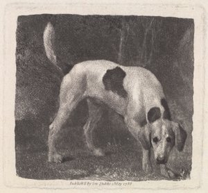 Dog (A Foxhound on the Scent) graverad av konstnären, pub. 1788 av George Stubbs