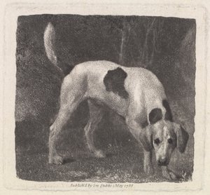 Hund [En rävhund på doften] av George Stubbs
