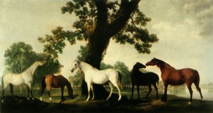 "Five Brood Mares på Duke of Cumberlands stuteri i Windsor Great Park", 1765, 1944. av George Stubbs