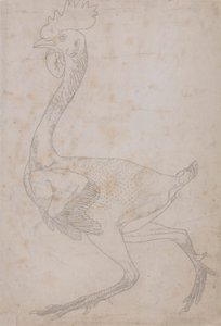 Hönskropp, sidovy (troligen förberedd för överföring till plattan för gravering av nyckelfiguren i tabell X) av George Stubbs