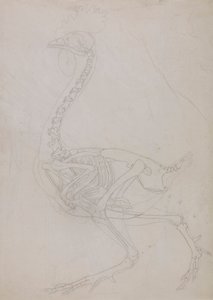 swedish av George Stubbs