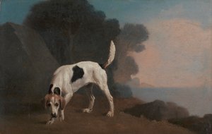 Foxhound av George Stubbs