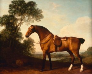 G.Stubbs, en sadlad Bay Hunter av George Stubbs