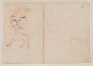 Huvud av ett lejon, tergo, 1700- eller 1800-tal av George Stubbs