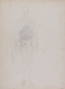 Människofigur, framifrån (till stor del i kontur) av George Stubbs
