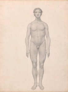 swedish av George Stubbs