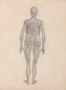 swedish av George Stubbs