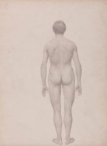 Människofigur, vy bakifrån, odissected (avslutad studie för tabell VII) av George Stubbs