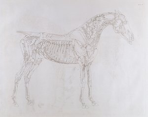 Illustration från 