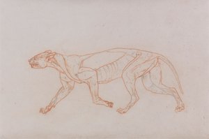 Leopardkropp, sidovy av George Stubbs