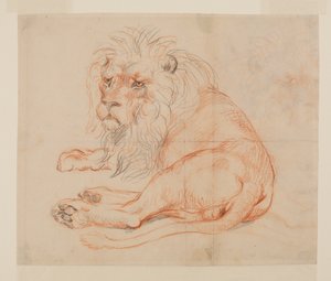 Lejonsvila, recto, 1700- eller 1800-tal av George Stubbs