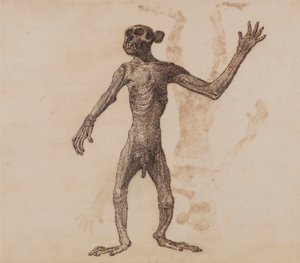 Apa Stående, Framifrån av George Stubbs