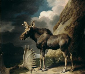 Älg, 1770 av George Stubbs