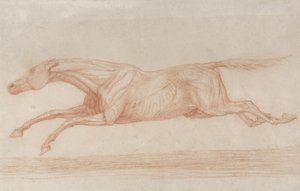 Undersøgelse af en væddeløbshest i aktion: galopperende til venstre (rødt kridt på brunpapir) sved av George Stubbs