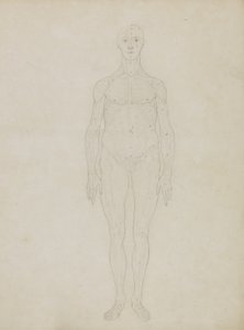 Studie av den mänskliga figuren, anterior View, från "En jämförande anatomisk beskrivning av människokroppens struktur med en tiger och en vanlig fågel" av George Stubbs