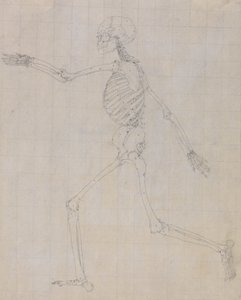 Studie av människofiguren, sidovy, avslutad studie för Tabell III, från En jämförande anatomisk beskrivning av människokroppens struktur med en tiger och en höns, 1795-1806 (gr. av George Stubbs