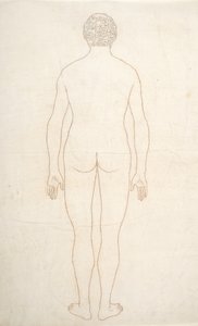 Studie av människofiguren, bakifrån, från en jämförande anatomisk utläggning av människokroppens struktur med en tiger och en höns, ca 1795-1806 (bläck på papper) av George Stubbs