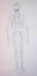 Studie av människofiguren, bakifrån, från en jämförande anatomisk utläggning av människokroppens struktur med en tiger och en höns, ca 1795-1806 (grafit på papper) av George Stubbs