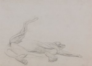 Tigerkropp, liggande, sedd ventralt av George Stubbs