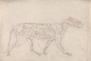 swedish av George Stubbs