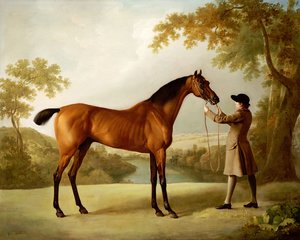 Tristram Shandy, en kapplöpningshäst som hålls av en brudgum i ett vidsträckt landskap, ca 1760 av George Stubbs