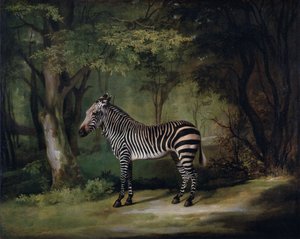 Zebra av George Stubbs