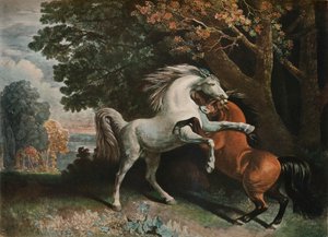 Hästar som slåss, c1700-talet, 1902