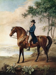 Warren Hastings Esq. på sin arabiska häst, efter en målning av George Stubbs