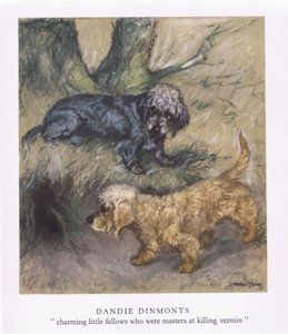 Dandie Dimonts (färglitografi)