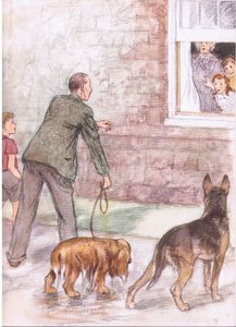 Spanielhundarna var dränkta i lera och slem, från Pets Limited utgiven av Collins