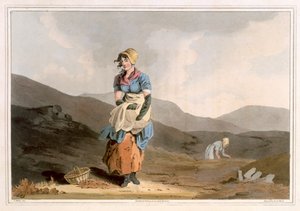 The Cranberry Girl, graverad av Robert Havell den äldre, publicerad 1814 av Robinson and Son, Leeds