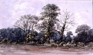 Träd på Perry Bar nära Birmingham, 1800-talet