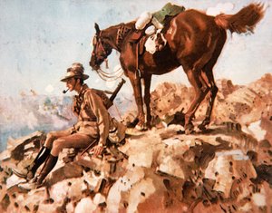 Australian Light Horseman, Allenbys Desert Campaign