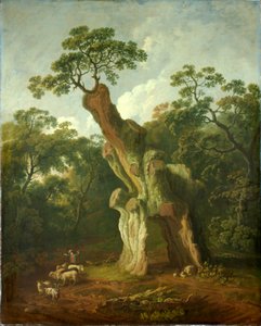 Utsikt över Greendale Oak i Welbeck Park (olja på duk)
