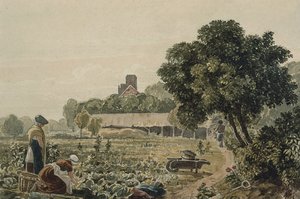 Market Garden i Chelsea av George the Younger Barret