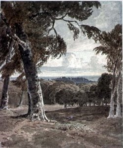 Windsor Park, med slottet i fjärran
