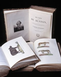Stilleben av "Buffons kompletta verk" av naturforskaren Georges Louis Leclerc, greve av Buffon (1707 - 1788). Gravyr från 1837.