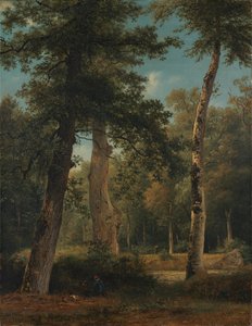 En skog vid Fontainebleau av Georgius Jacobus Johannes van Os