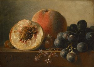 Frukter av Georgius Jacobus Johannes van Os