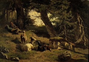 schweiziska landskapet
