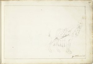 Häst, eller hur av Gerard ter Borch (II) (signed by artist)