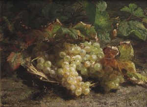 Vita vindruvor i en korg