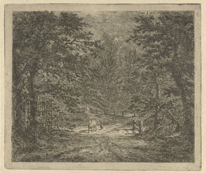 Herdinna med ko i skogen Kon i Bentheimskogen